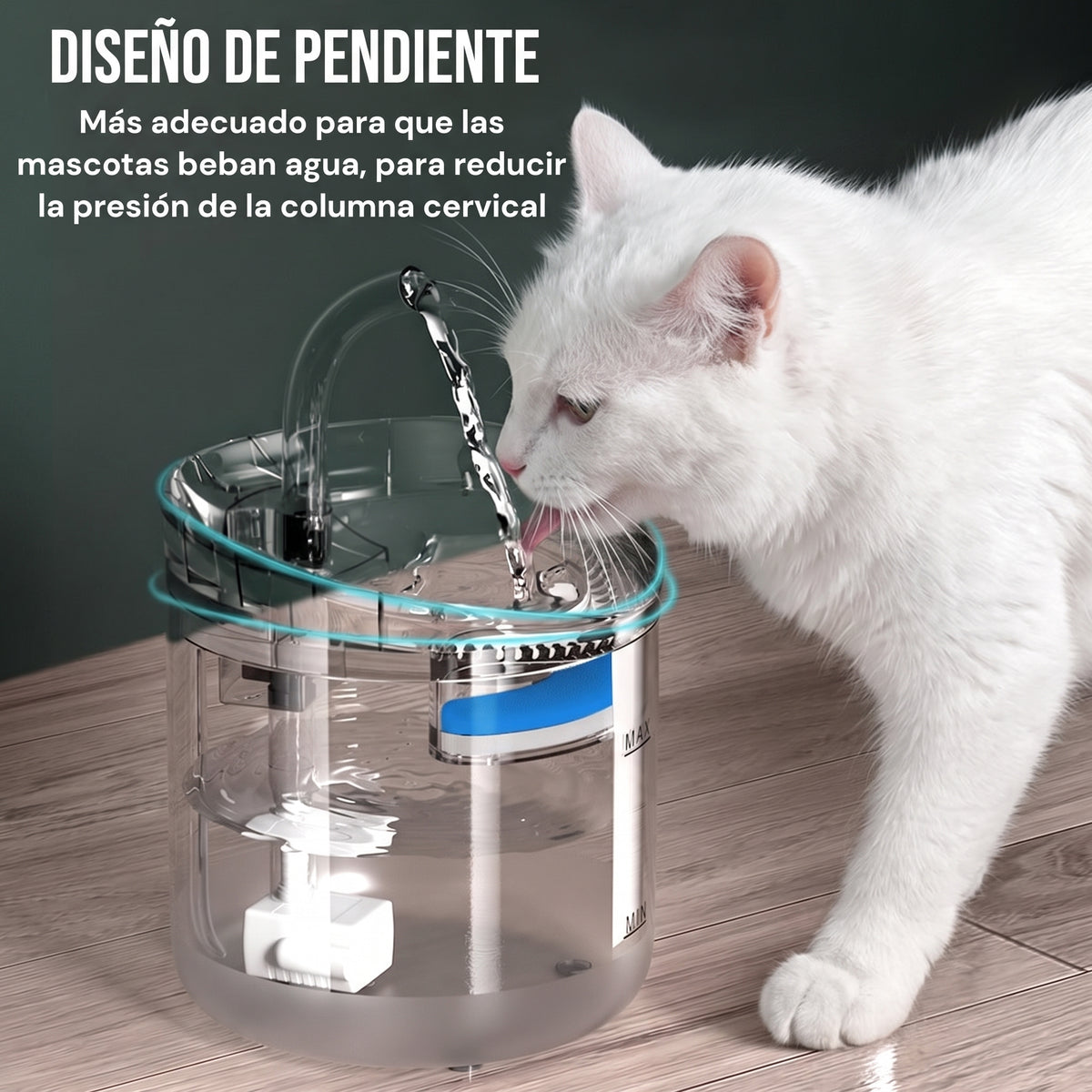 BEBEDERO PARA GATOS TRANSPARENTE®️ - Tu Regalón Siempre Hidratado.