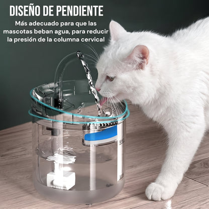 BEBEDERO PARA GATOS TRANSPARENTE®️ - Tu Regalón Siempre Hidratado.