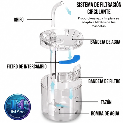 BEBEDERO PARA GATOS TRANSPARENTE®️ - Tu Regalón Siempre Hidratado.