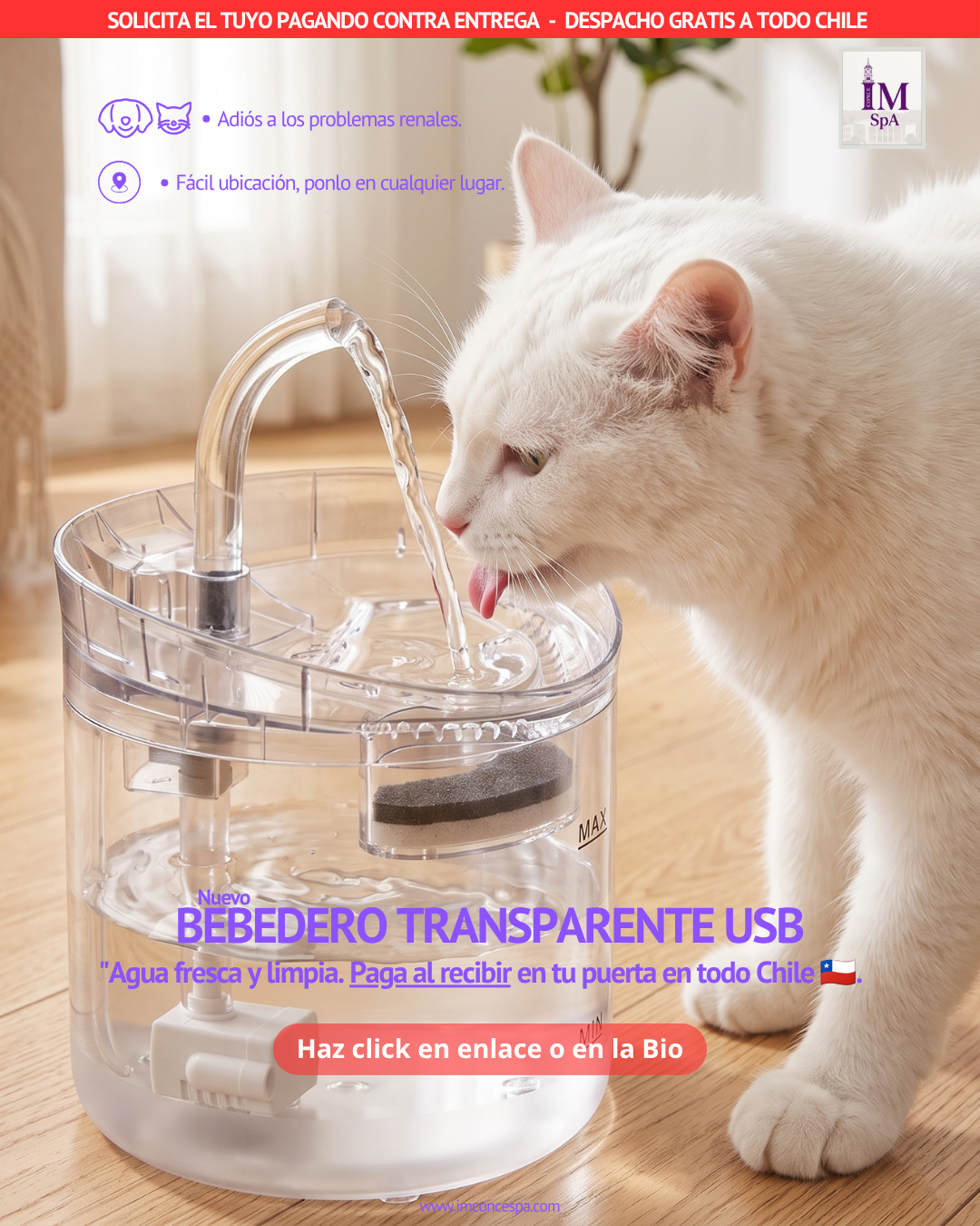 BEBEDERO PARA GATOS TRANSPARENTE®️ - Tu Regalón Siempre Hidratado.
